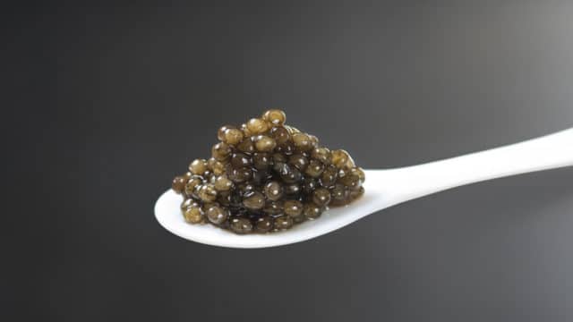 Caviar sur cuillère