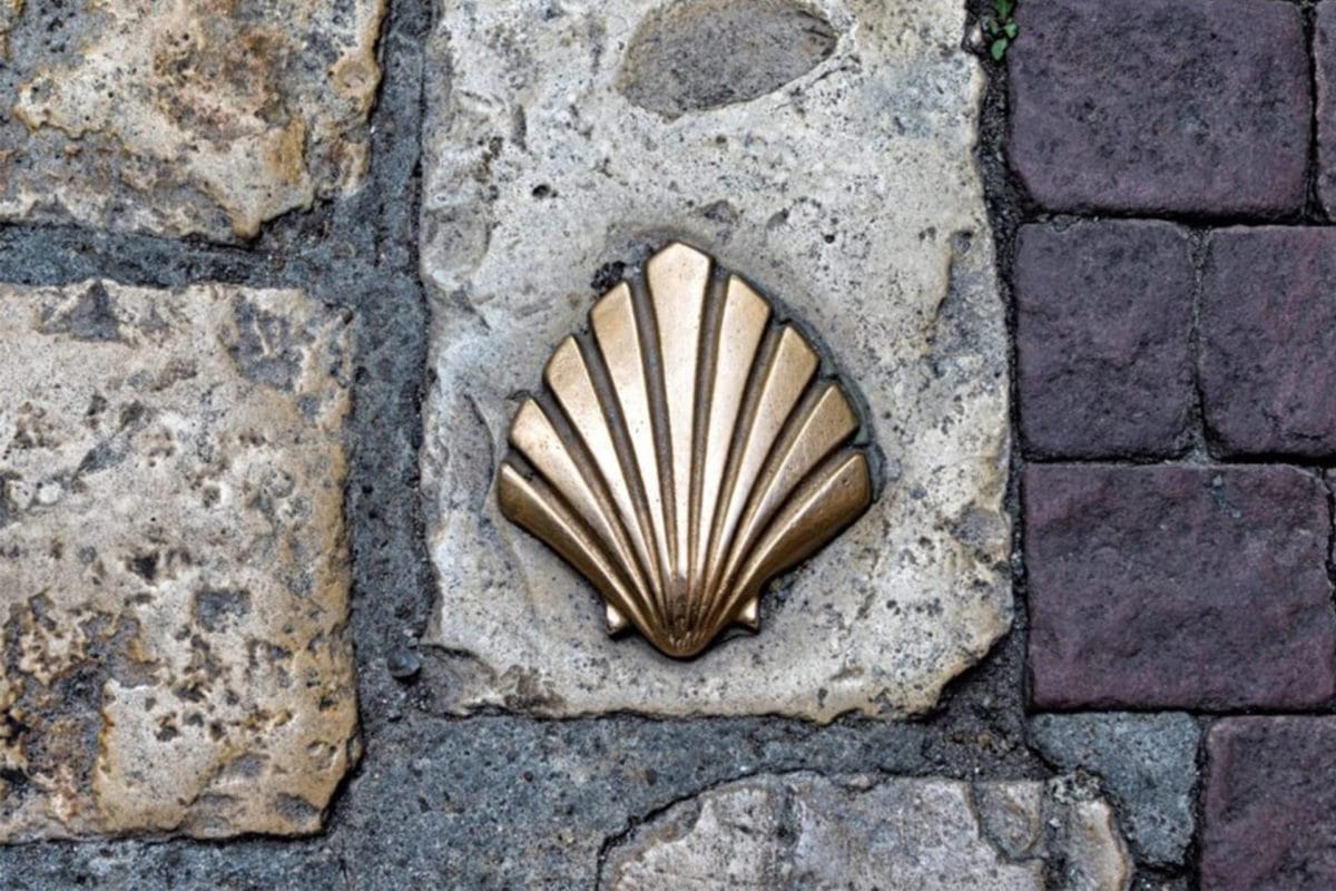 Coquillage des chemins de St-Jacques-de-Compostelle