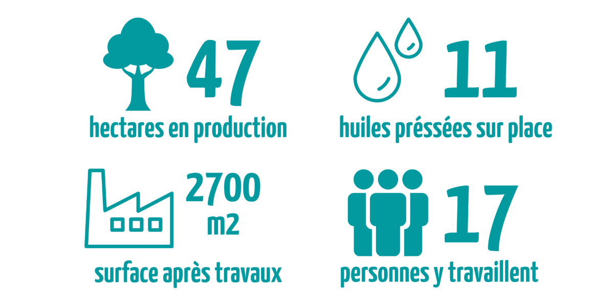 Moulin de la Gaumerie en chiffres : 47 hectares en production, 11 huiles préssées sur place, 2700 mètres carrés de surface après travaux, 17 personnes y travaillent