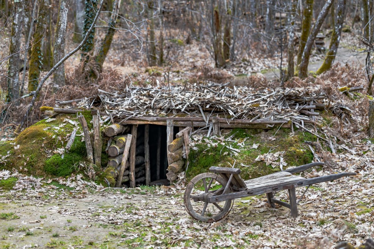 Visites guidées du Maquis de Durestal