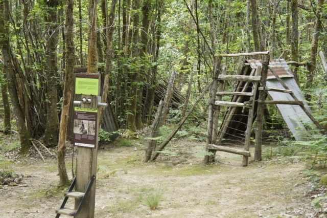 Visites guidées du Maquis de Durestal