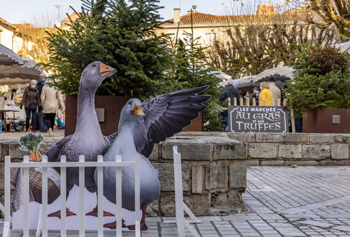 Marché au gras dans Le Grand Périgueux