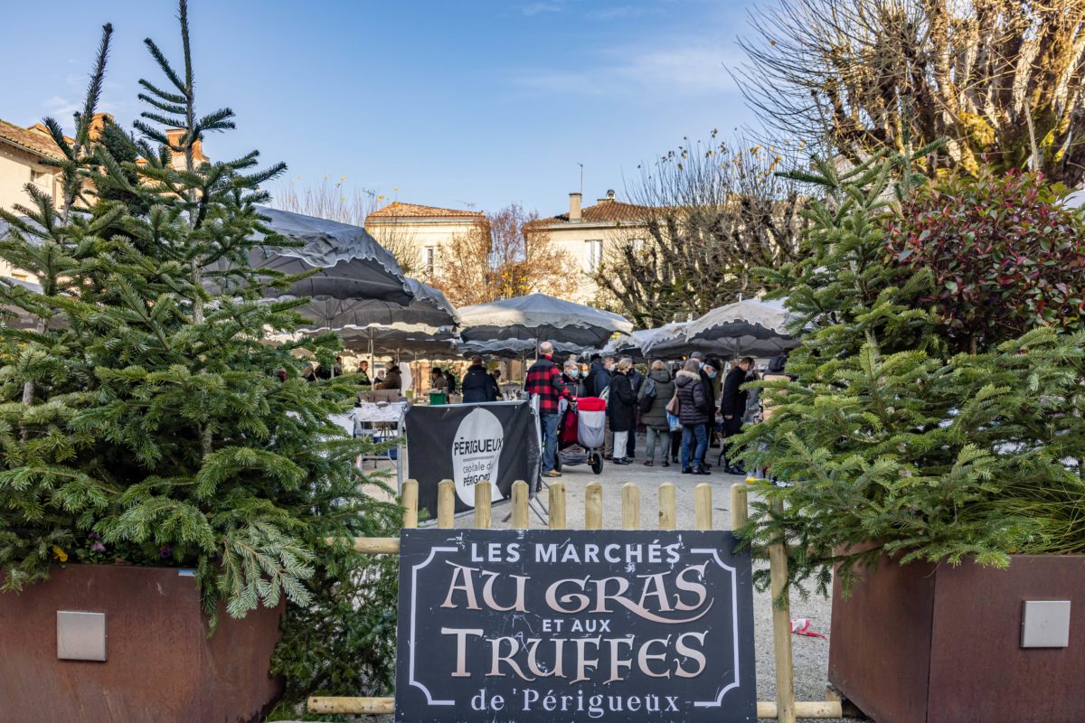 Marché au gras dans Le Grand Périgueux