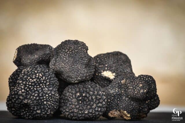Truffes du Périgord