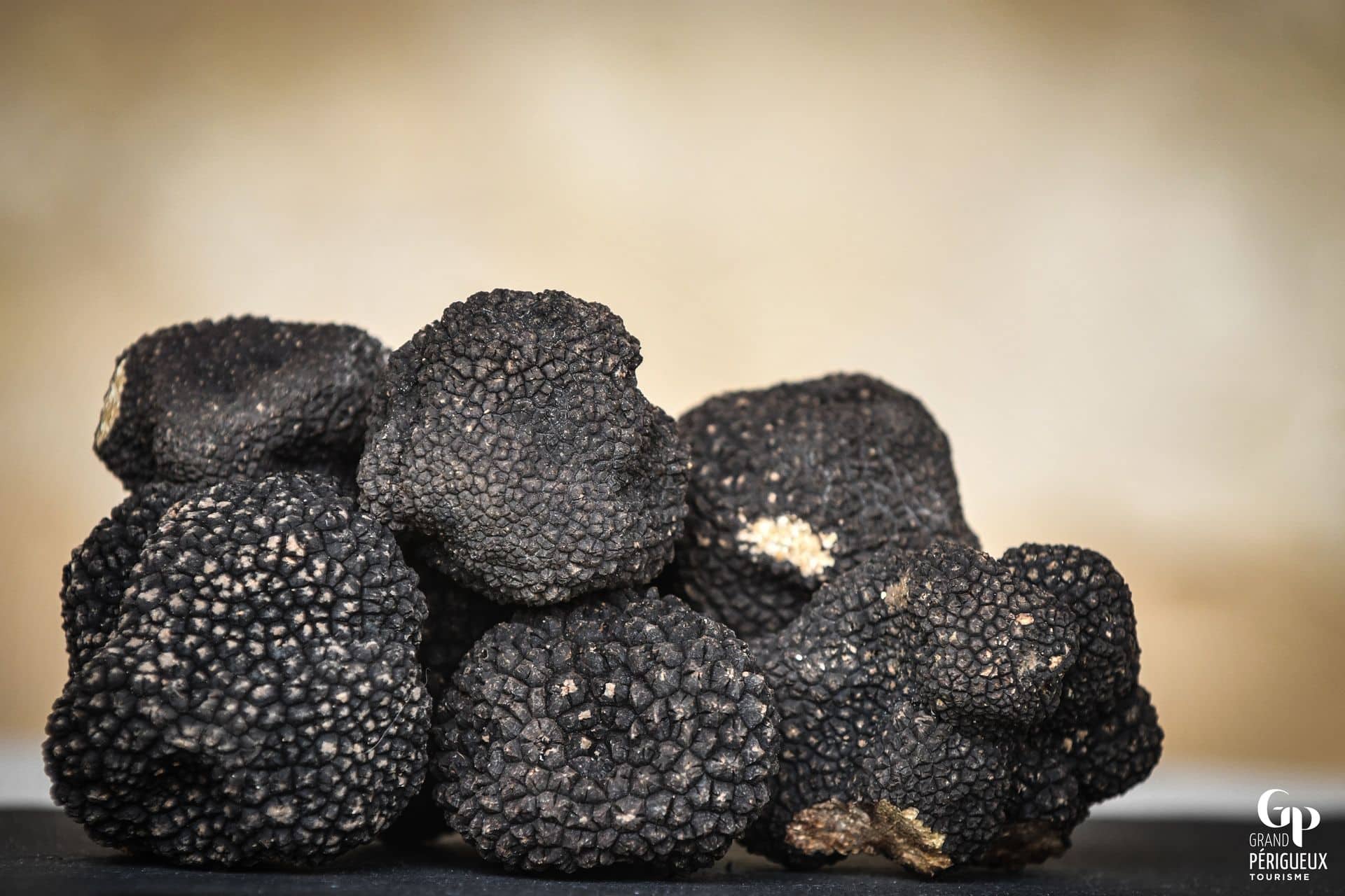 Truffes du Périgord